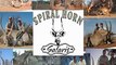 Hunting big Kudu in South Africa with Spiral Horn Safaris