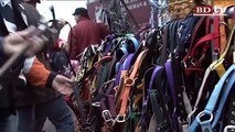 Paardenmarkt: kijken kijken niet kopen