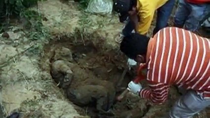 Abandoned Ritual Factory, 20 Decomposing bodies Found In Ibadan Forest