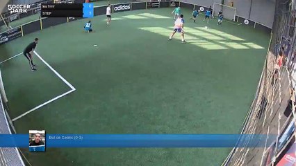 But de Cedric (0-3) - les frrrrr Vs STEF - 25/05/15 20:00 - Ligue Mercredi Fvrier 15