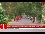 koleksi tanaman tropis di kebun belakang istana bogor.flv