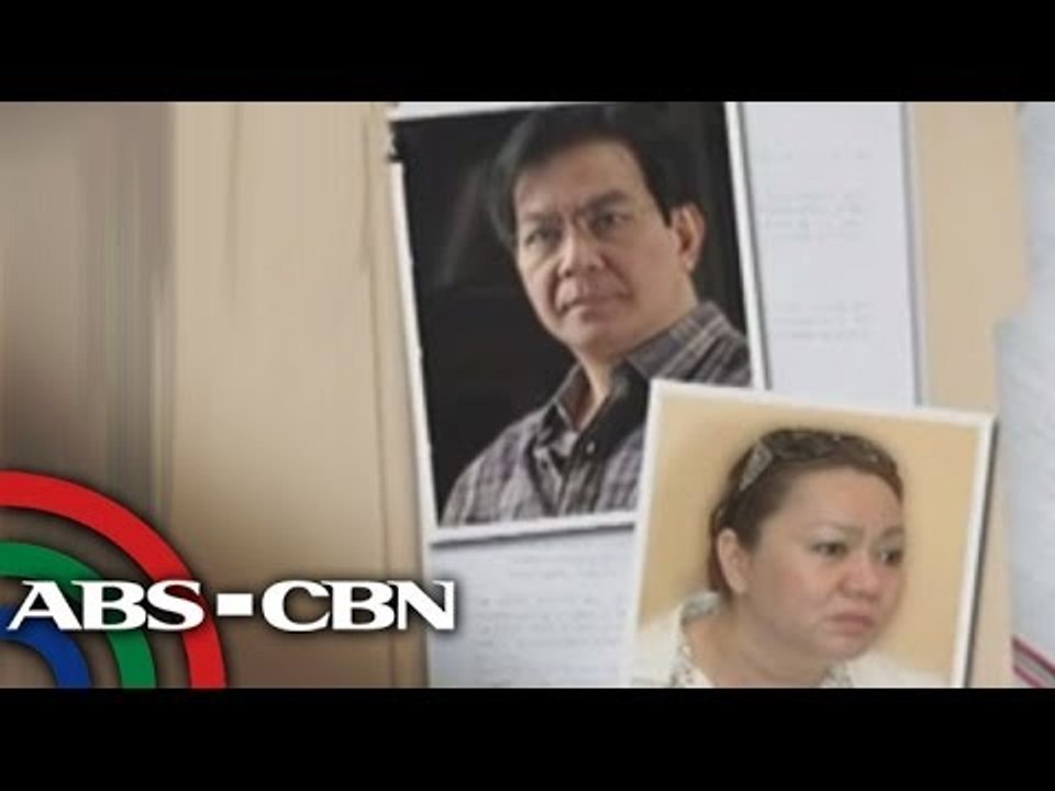 Napoles not pork scam mastermind, lawyer insists