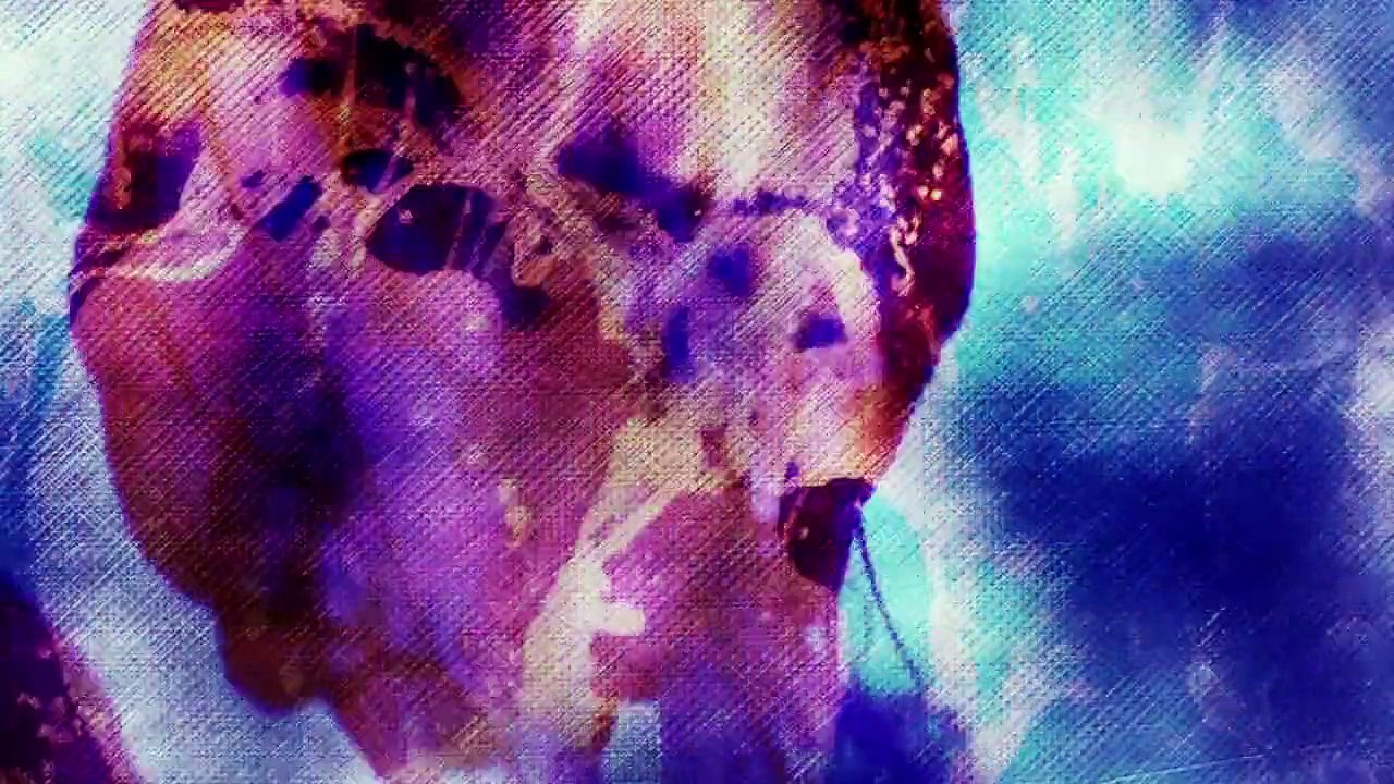 The Clouds Will Clear - Solar Eclipse (Pretty in Noise Premiere)