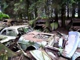 Floresta esconde 500 carros deixados por soldados dos EUA após a Segunda Guerra | Jornal Virtual