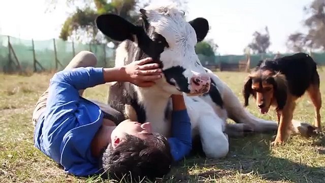 Un niño no-humano disfrutando del cariño de sus cuidadores