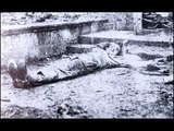 So-Called Armenian Genocide ( Tall Armenian Tale ) - 1915