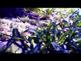 RetroMatic :: The Mattel Vidster