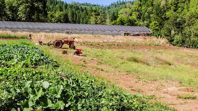 Invention- The Farming Fish - Growing Aquaponics and Superfoods
