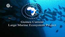 The Guinea Current Large Marine Ecosystem Project