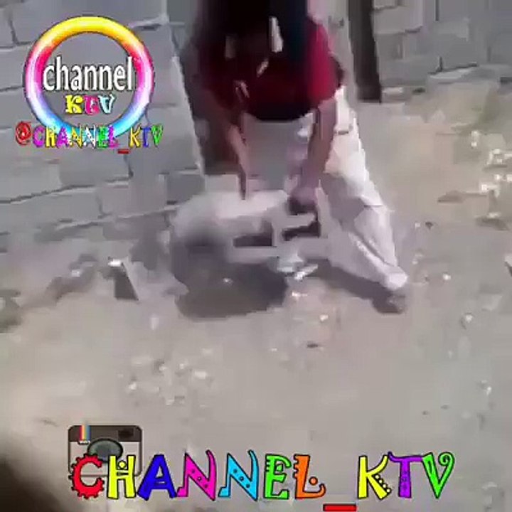 Funny- BEst Amazing Fun