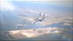 Iranian F-14 air combat agianst Iraqi MiG-21 over Persian Gulf
