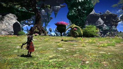 FINAL FANTASY XIV Heavensward - Job Actions