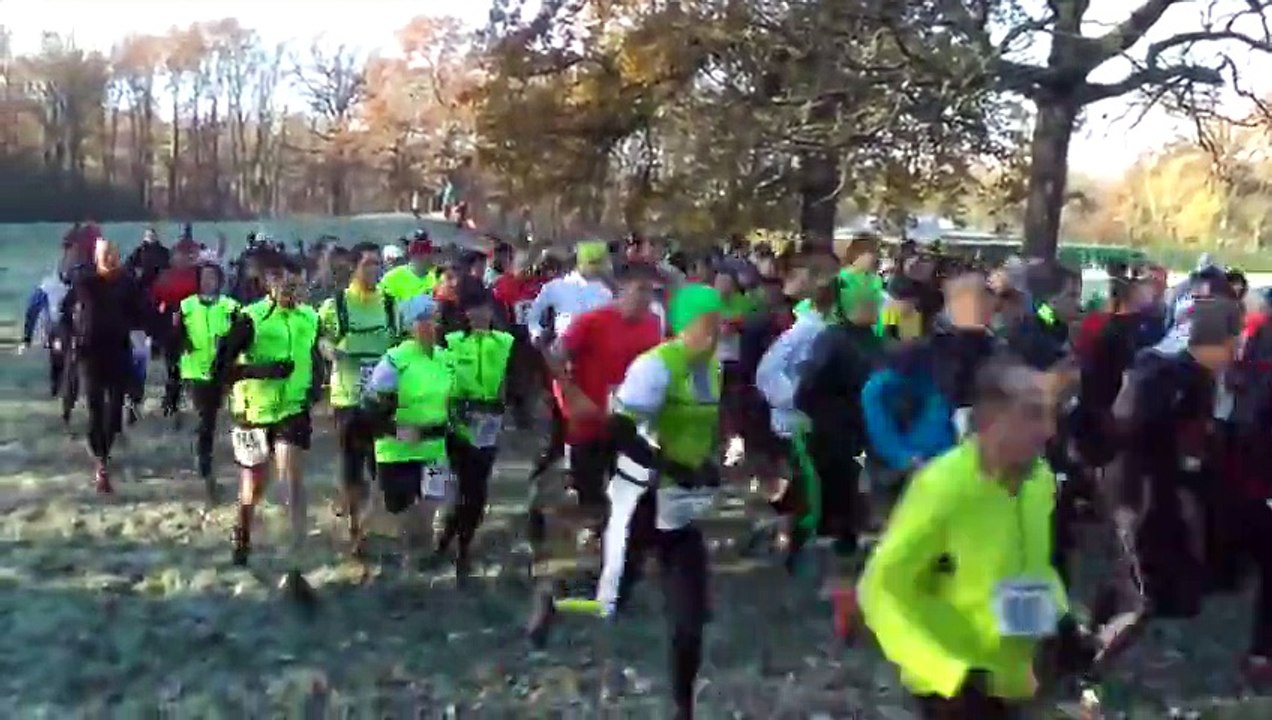 La clairière aux sangliers 2014