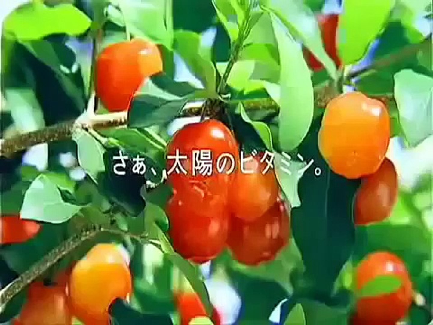 ⁣Japanese Commercials Japanese Funny Commercial