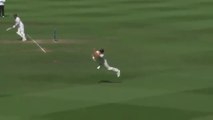 Trent Boult's Amazing cricket catches