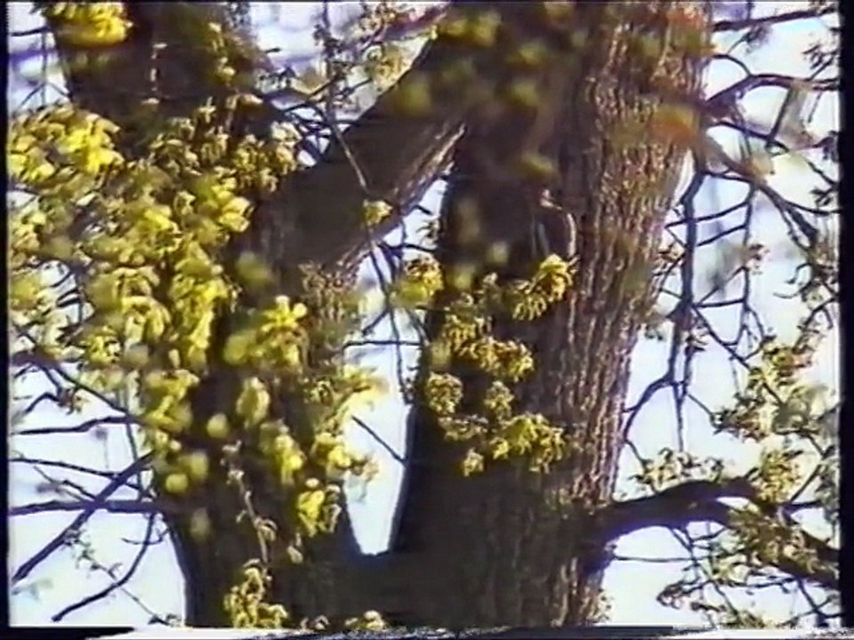 25 Anwr Schuhpflege-1