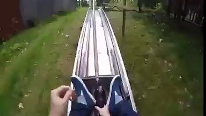 Super Fun Luge Until a Passing Hare Gets the Scare of Its Life