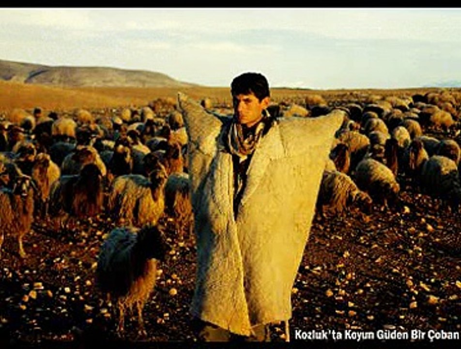 Hicâz Şarkı - Danyal Mantı Solist Celal Abacı