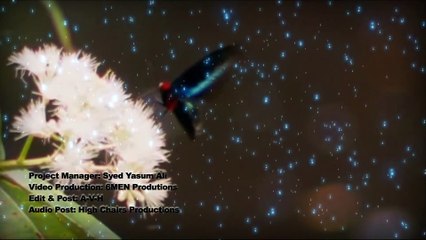 Hamd - Aqsa Abdul Haq