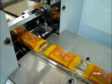 Soap Packing Machine - TP 150 | Sama Engineering