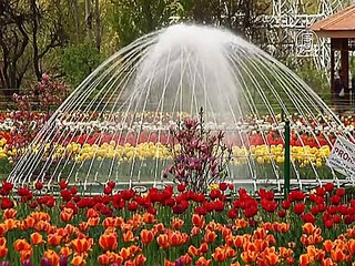 Сад тюльпанов – гордость и надежда Кашмира