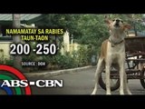 DOH steps up nationwide campaign vs rabies