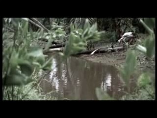 Iklan Hari Raya TM 2008