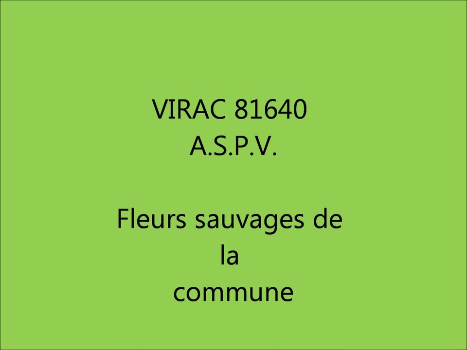 Virac 81640 fleurs sauvages  N°6