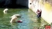 Polar Bear mauling woman @ German Zoo in Berlin