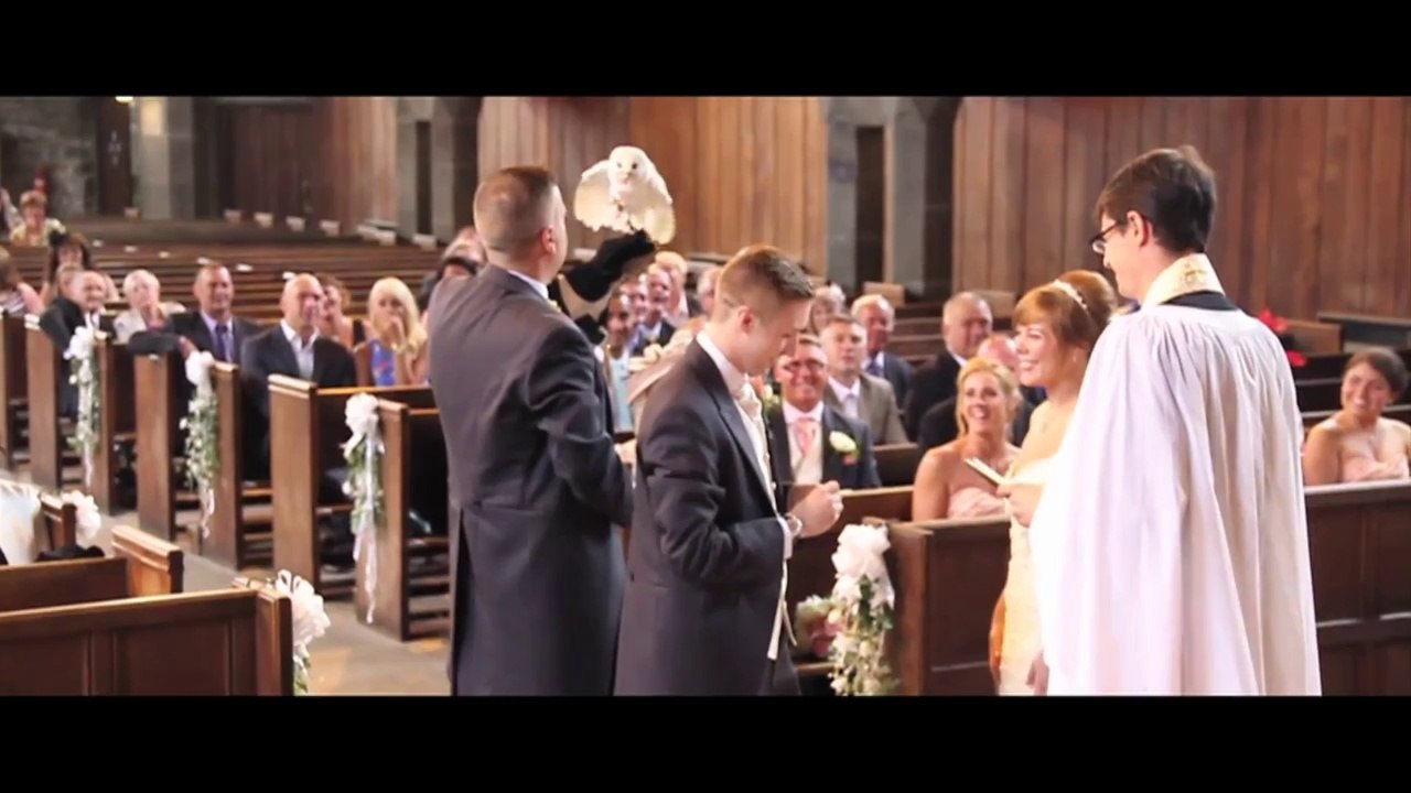 Une chouette livre les alliances pour un mariage