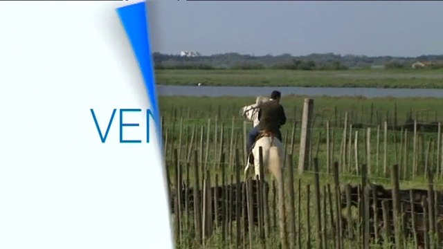 BA de LRM matin Manade et raseteurs camargue