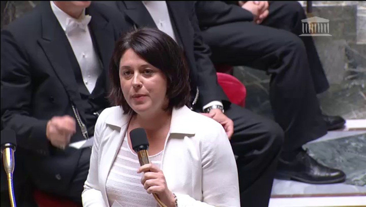 Reprise de la construction de logements: S. Pinel répond à une QAG