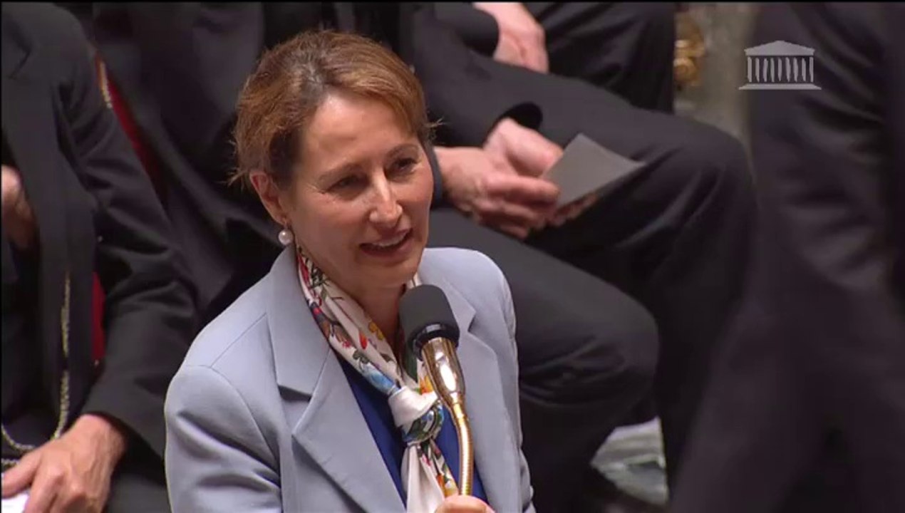 Projet de loi Transition énergétique :  S. Royal répond à une QAG