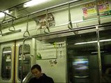 Inside of the Japanese train (Tobu Isesaki Line from Sengendai to Kasukabe)■