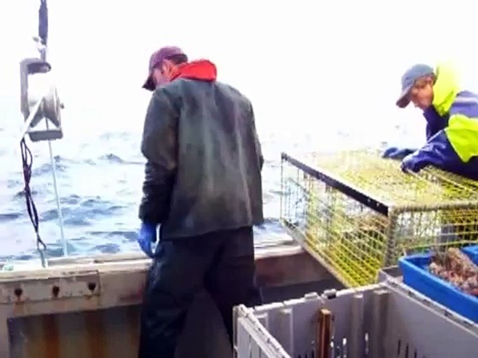 Lobster fishing
