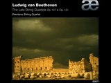 A LATE QUARTET (Original Soundtrack Excerpt) - Beethoven String Quartet Op. 131 No. 14