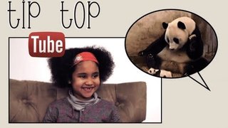 Animaux & Bébé sur Youtube - Tip Top Tube #2
