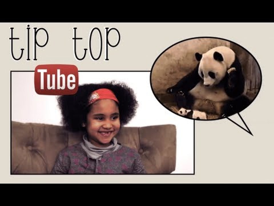 Animaux & Bébé sur Youtube - Tip Top Tube #2