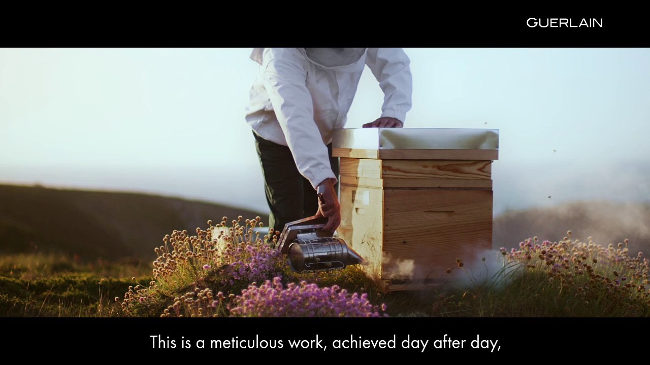 Ouessant, the Black Bee island - GUERLAIN