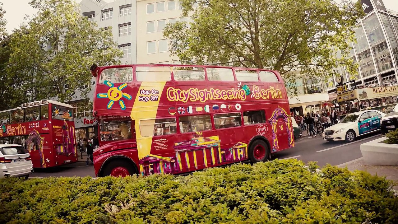 Katta DerLemur in Berlin 2015