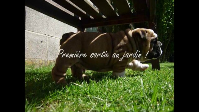 Première sortie au jardin