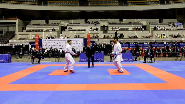 Finale +84kg : L. Boulesnane / S.Bendiab - Championnats de France Karaté 2015