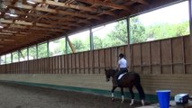 Jane McPeters riding Bonito at Mary Wanless Clinic in Santa Fe