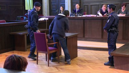 Austria convicts 14-year-old on terror charges