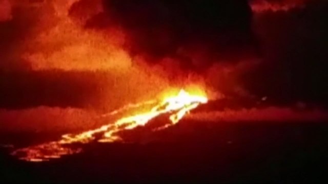 Galapagos Island volcano erupts threatening ecosystems