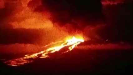 Galapagos Island volcano erupts threatening ecosystems