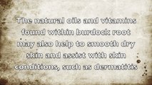Skin Health Benefits of Burdock Root - Health Benefits of Burdock Root