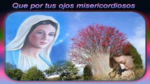 CANCION MARIA MIRAME (Betsaida) con letra.VIRGEN MARIA AUXILIADORA