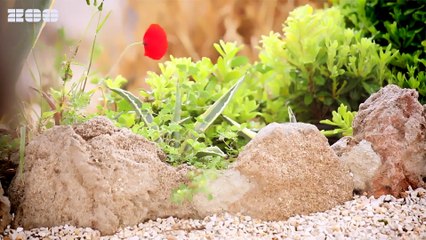 Ivelina - Part Time Lover (Jasper Forks Video Edit)