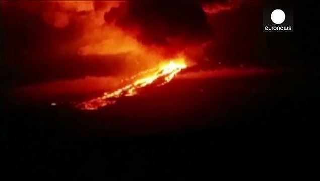 Извержение вулкана на Галапагосских островах угрожает розовым игуанам